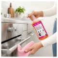 OVEN CLEANER 1L – Profesjonalny płyn do mycia piekarników, grilli i kuchenek