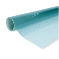 ssfchameleonblue.webp